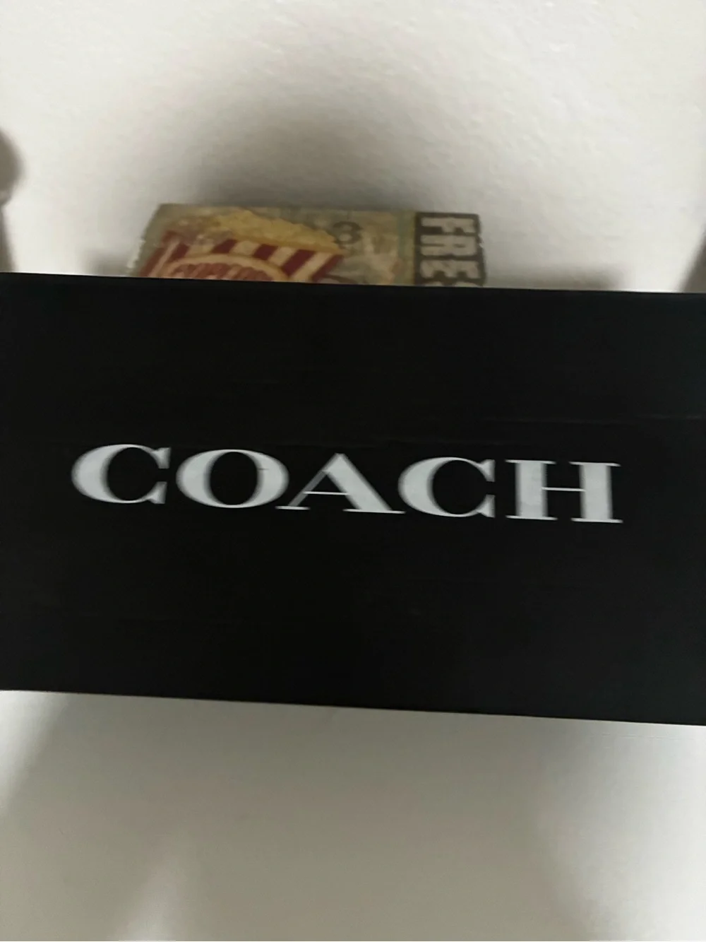 Coach Cream Shearling Thong Sandals with Gold Hardware